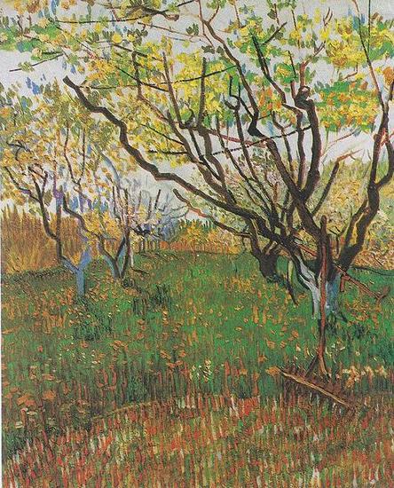 Vincent Van Gogh Flowering Orchard Norge oil painting art